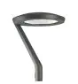 Philips Éclairage public LED CitySoul Gen2 Lyre BPP532 46W 4920lm 50D - 830  | IP66 - Dali Dimmable